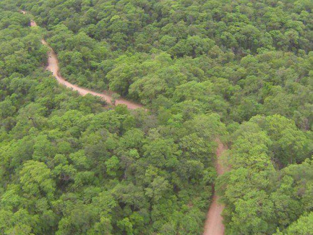 Las rutas calientes del contrabando van por la selva y las utiliza el narcotr�fico