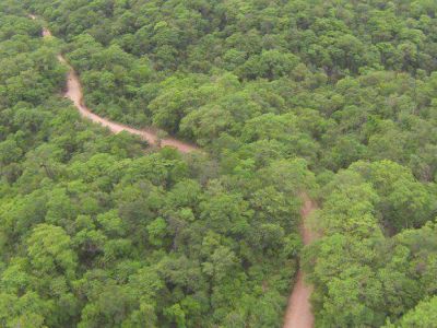 Las rutas calientes del contrabando van por la selva y las utiliza el narcotr�fico