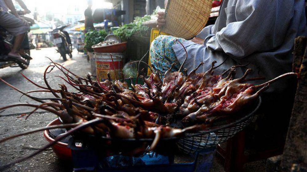 Restaurante de Vietnam logra el �xito con la venta de ratas asadas
