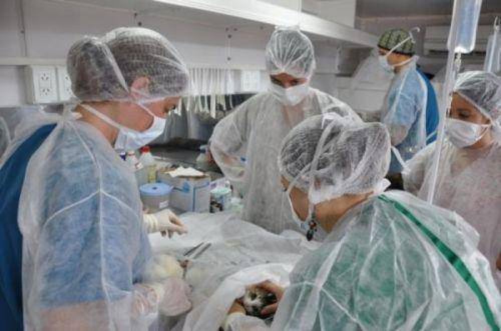 Misiones ya cuenta con quir�fano m�vil de castraci�n de perros y gatos que recorrer� toda la Provincia