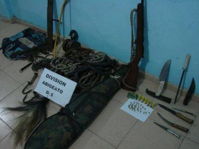 Secuestran dos terneros, una carabina y dem�s elementos