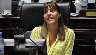 Legislatura: avanza el plan maestro para la Comuna 8