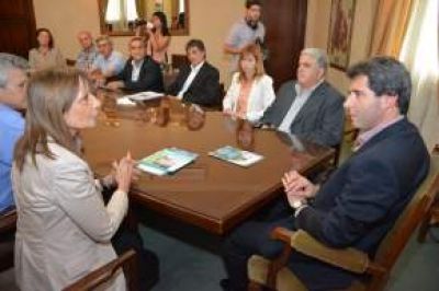 Subsidios para la producci�n forestal en San Juan
