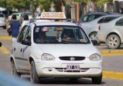 El transporte local suma casi 500 faltas