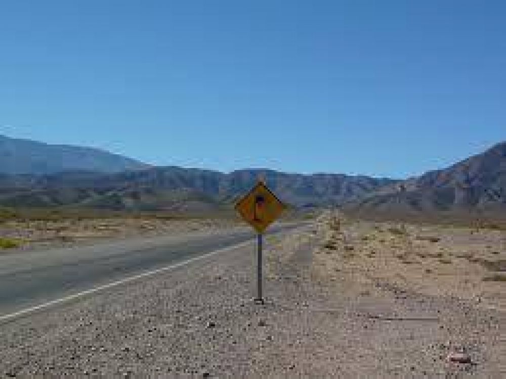 Las rutas provinciales se encuentran transitables