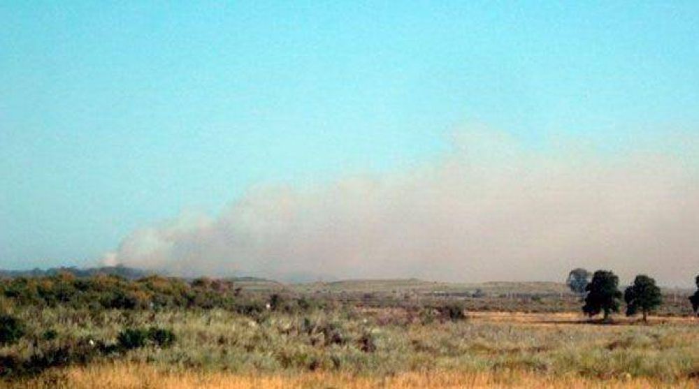Punta Alta: otra vez, un incendio en la zona de Puerto Belgrano