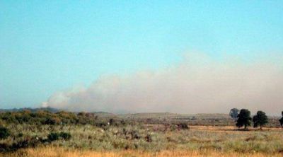 Punta Alta: otra vez, un incendio en la zona de Puerto Belgrano