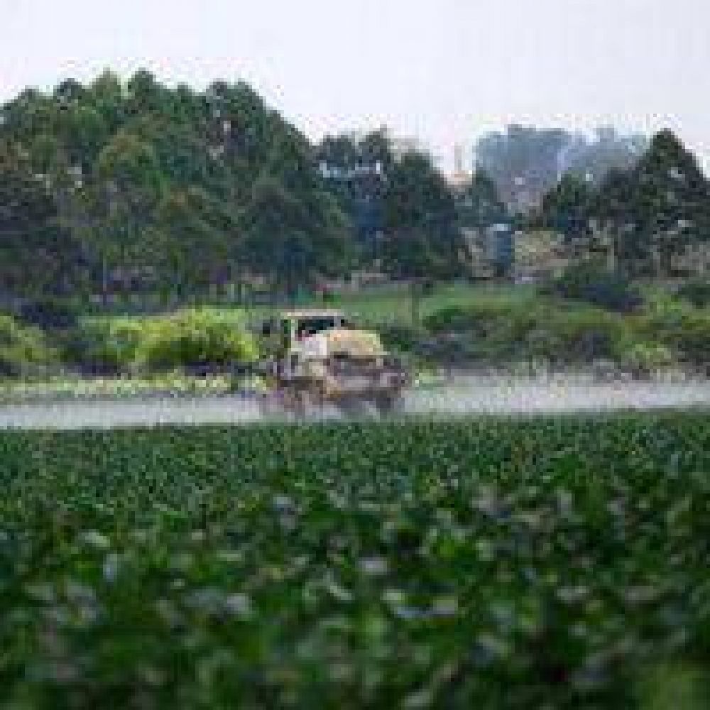 Sigue en debate proyecto que regula el uso de agroqu�micos