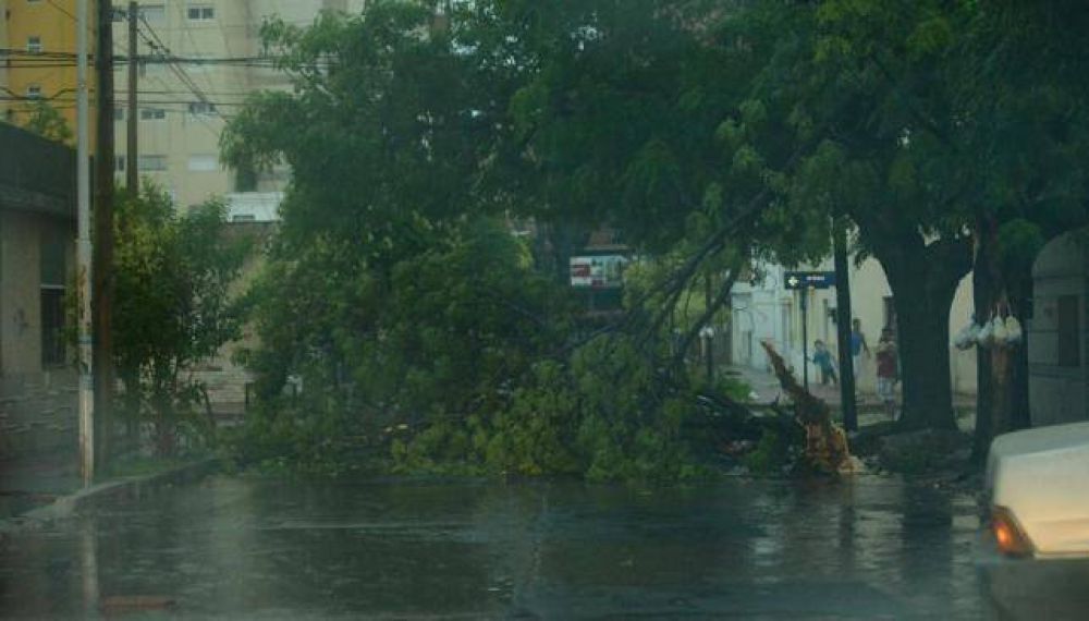 El viento provoc� destrozos en la Capital