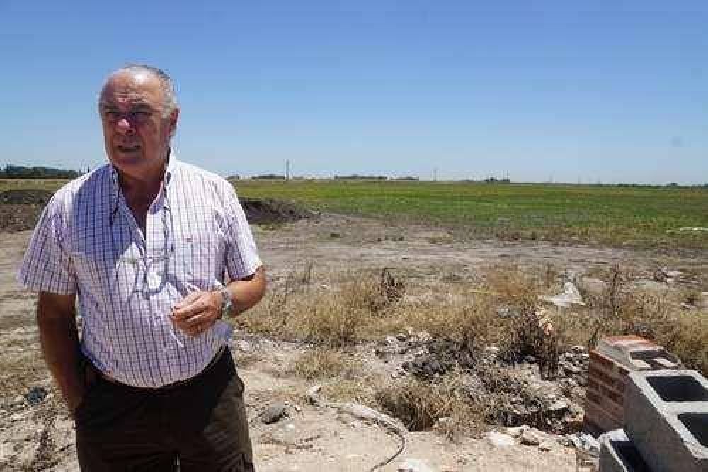 La semilla se cultiv� y germin�; falta riego y paciencia para empezar a cosechar-t�tulo