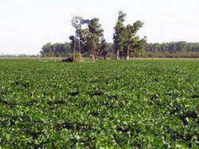 Impacto del aumento inmobiliario rural en santa fe