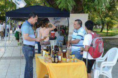 Exitosa feria de microemprendedores en la plaza San Mart�n