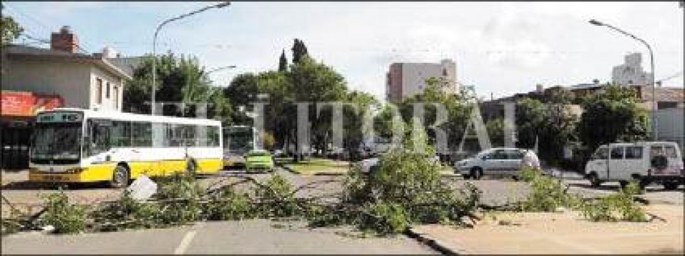 En avenida Freyre, los vecinos se defendieron