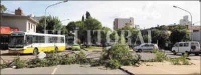 En avenida Freyre, los vecinos se defendieron