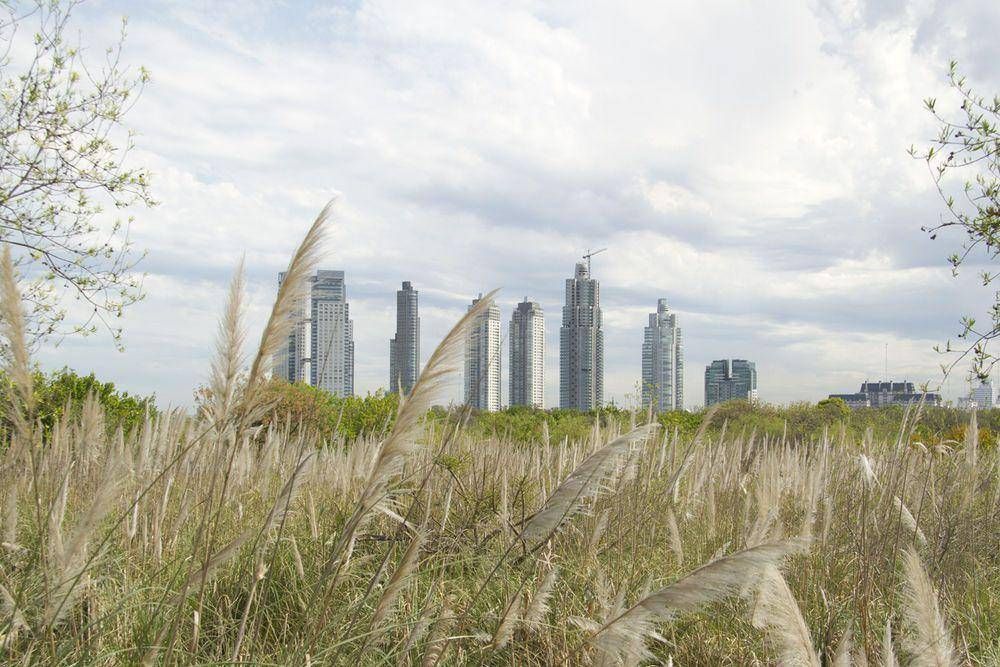 La Ciudad ya tiene m�s de 800 Edificios Verdes que separan sus residuos
