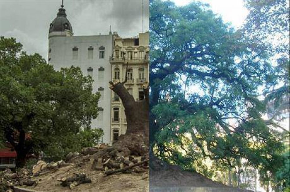 El gobierno porte�o tal� el hist�rico omb� de Plaza Roma