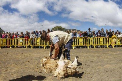 Maquinchao tendr� su Fiesta Nacional de la Lana