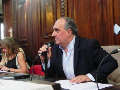 Borgini, presidente del Concejo