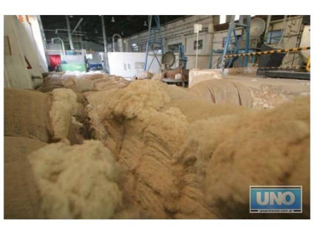 Otorgaron subsidios por 300.000 pesos a peque�os productores algodoneros