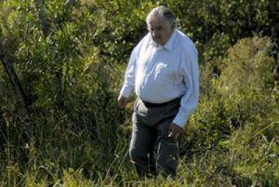 Jos� Mujica: "No es bonito legalizar la marihuana, pero peor es regalar gente al narco"