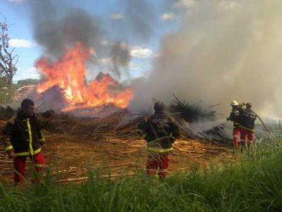 Dotaciones de Bomberos de la Polic�a sofocaron un voraz incendio en un aserradero