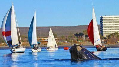 Hoy comienzan en Madryn las Jornadas de Turismo N�utico