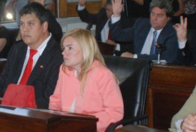 El radicalismo recuper� una banca en el Concejo Deliberante