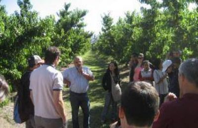 Encuentro internacional en INTA sobre la podredumbre morena