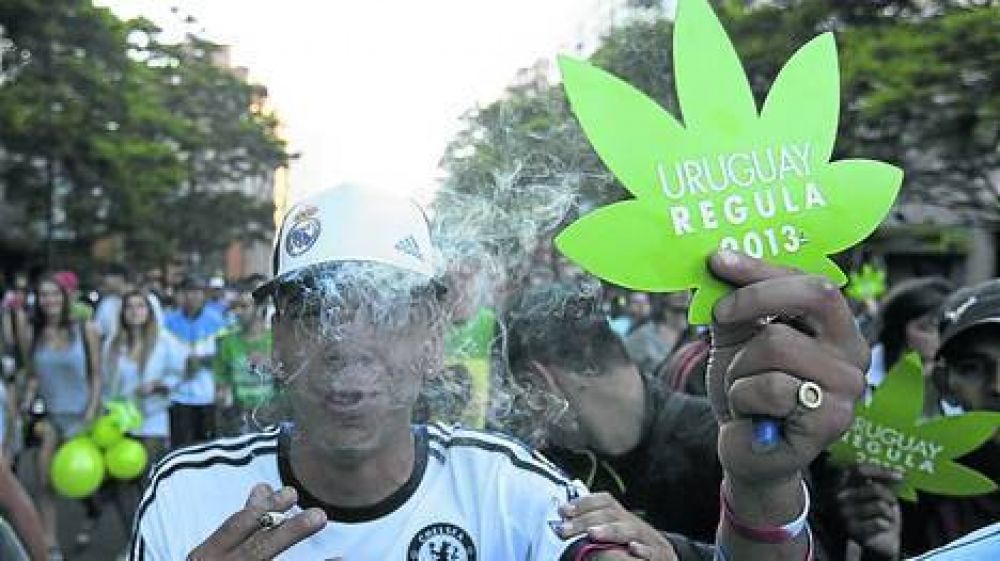 Dudas de jueces y m�dicos tras la legalizaci�n de la marihuana en Uruguay