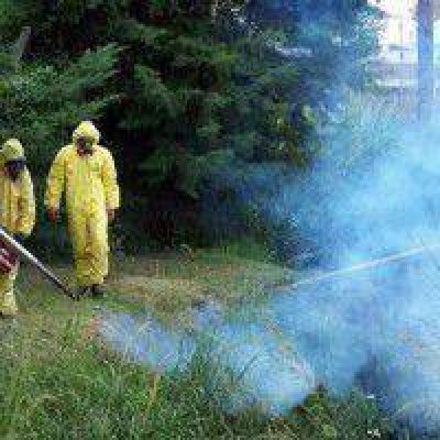 Contin�a el cronograma de fumigaci�n en los barrios