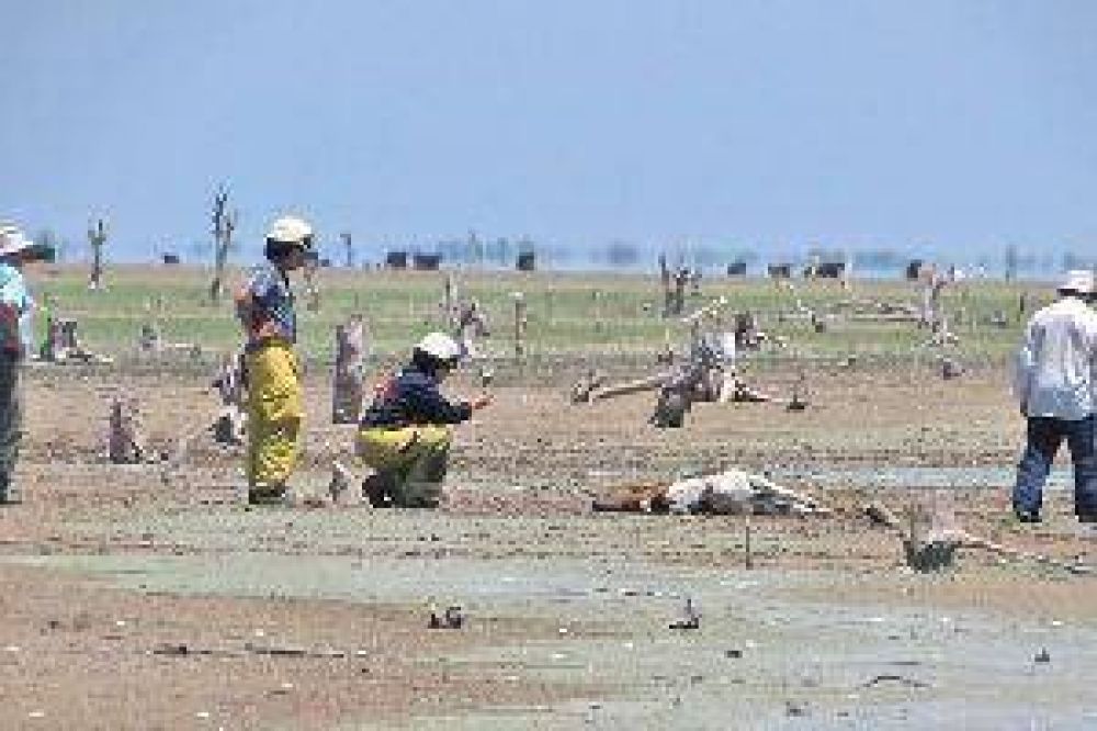La Defensor�a activ� un programa de alerta por la proliferaci�n de algas t�xicas en el lago