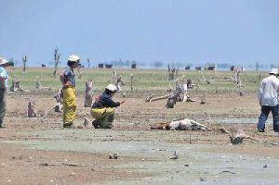 La Defensor�a activ� un programa de alerta por la proliferaci�n de algas t�xicas en el lago