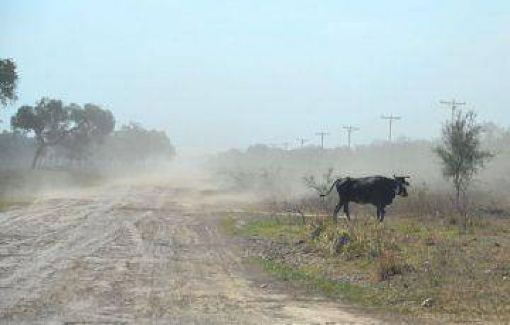 Ante la inminente cosecha de girasol productores piden que se repare la ruta 95