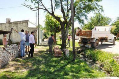 Inician la reposici�n de �rboles y dar�an por finalizada la emergencia el�ctrica 