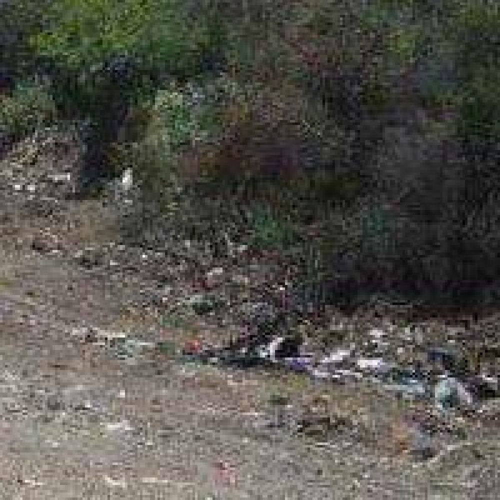 Limpiar�n varios minibasurales