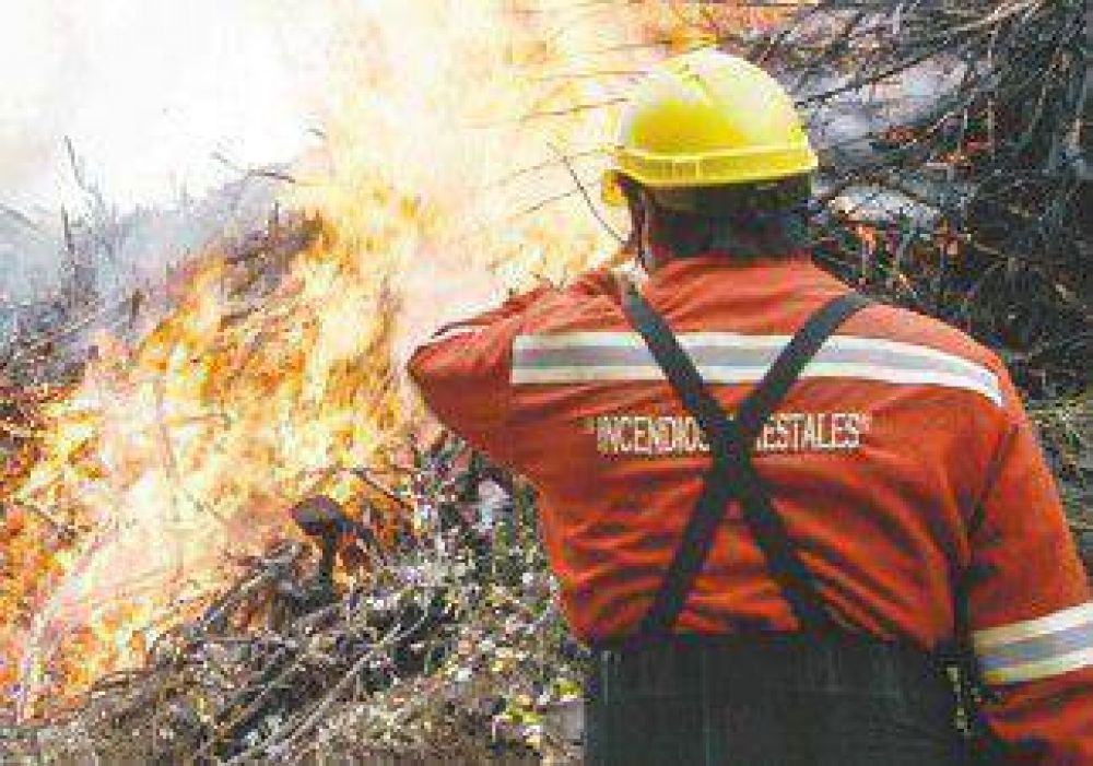 Alto riesgo de incendios forestales 