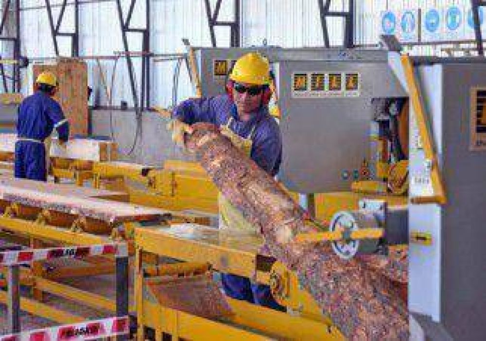 Provincia crear� un polo forestal en Alumin� 