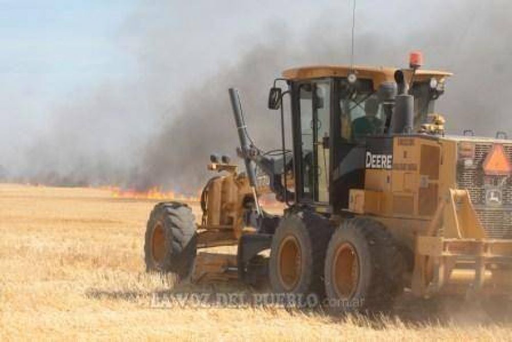 Entre 3000 y 5000 hect�reas afectadas por el fuego