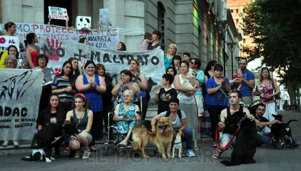 M�s de 200 manifestantes contra el maltrato animal