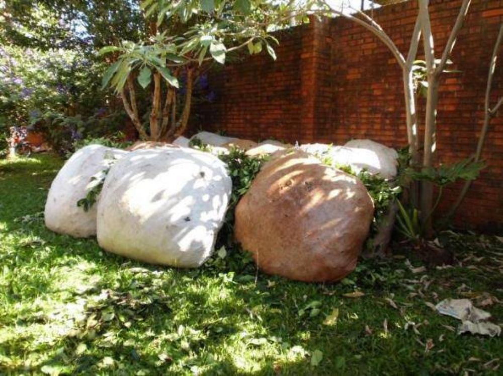 Fueron sorprendidos mientras robaban yerba de una chacra
