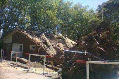 Secuelas del viento en instalaciones del EMDER