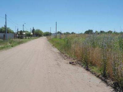 CUANDO EL ABANDONO ES RESPONSABILIDAD DEL MUNICIPIO