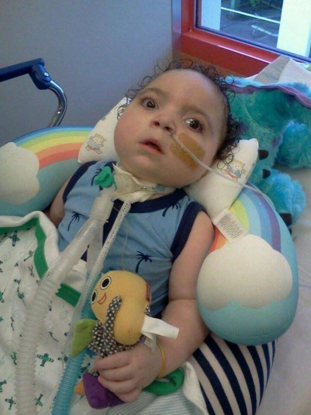 Por Santino, sus padres est�n dispuestos a dar mil batallas