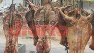 Promueven la producci�n de cabritos de calidad org�nica