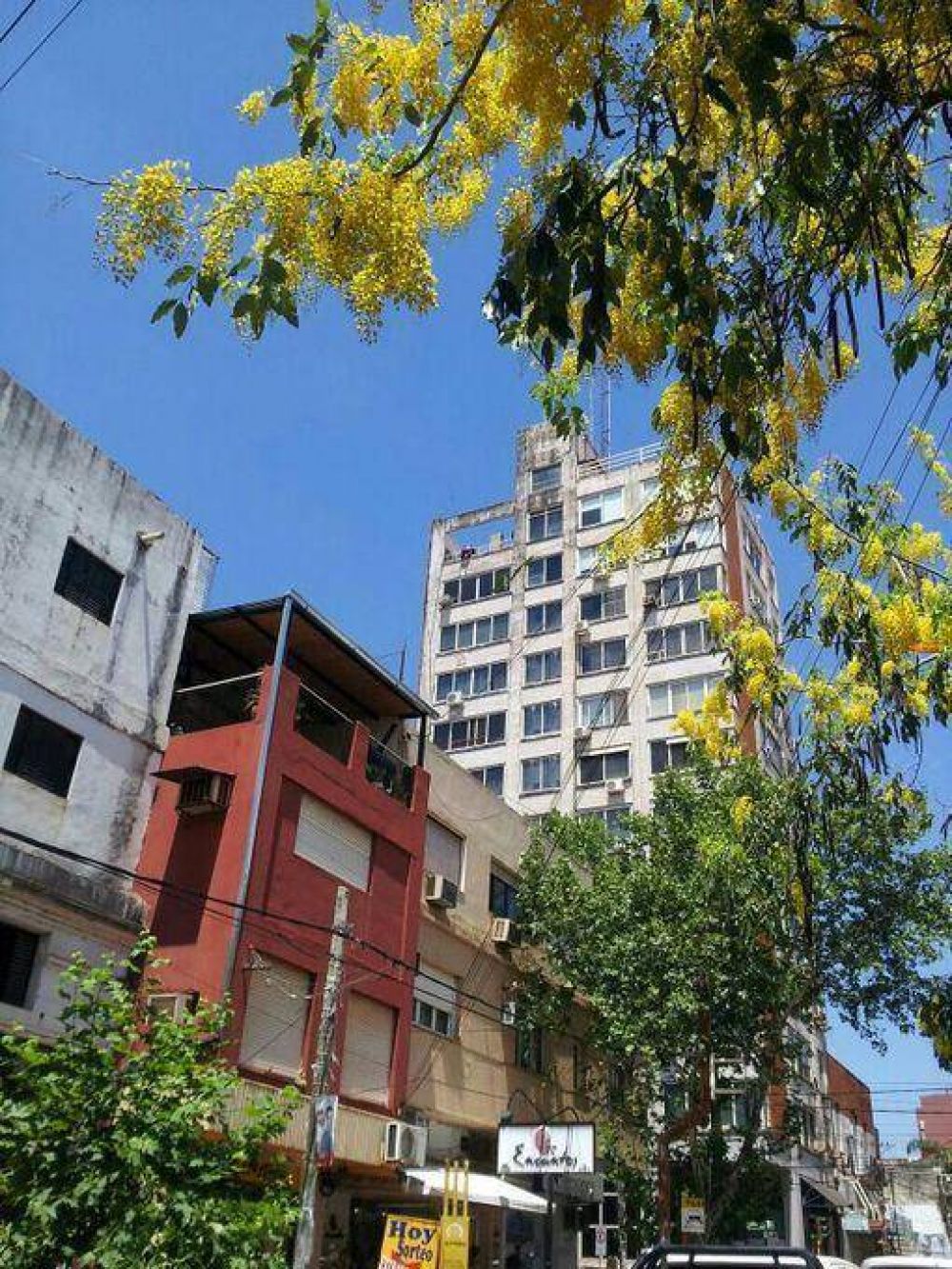 Una mujer intent� arrojarse de un edificio en pleno centro de Posadas