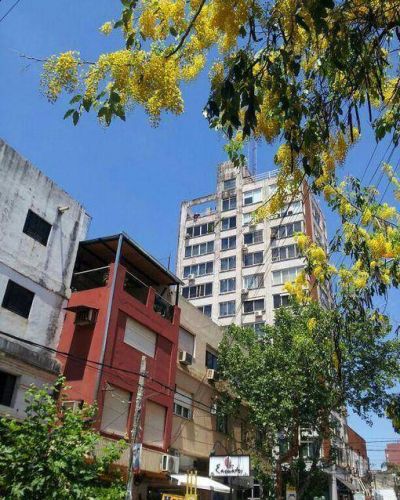 Una mujer intent� arrojarse de un edificio en pleno centro de Posadas