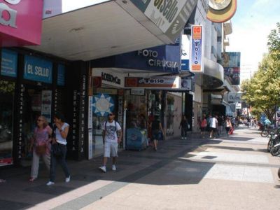 M�s seguridad en la peatonal
