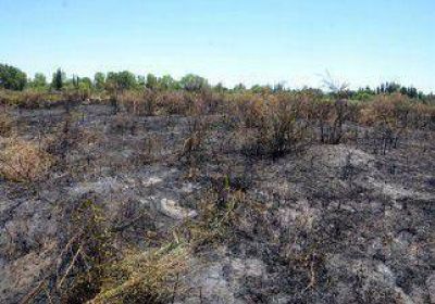 Una sospechosa quema de pastizales en la Isla 132 
