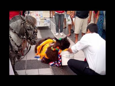 Una llama se desvaneci� en la Peatonal