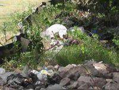 Arrojaron basura en el acceso Tr�nsito Pesado